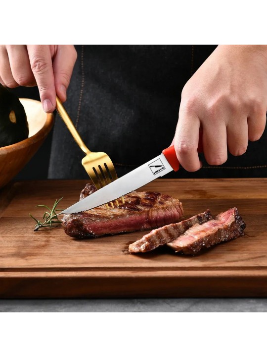 Hinye-Acciaio 6 Piece Steak Knives Set